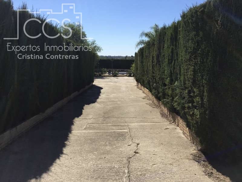 3 Zimmer Finca/Landgut zu verkaufen in Aznalcazar mit Pool Garage - 230.000 € (Ref: 5654718)