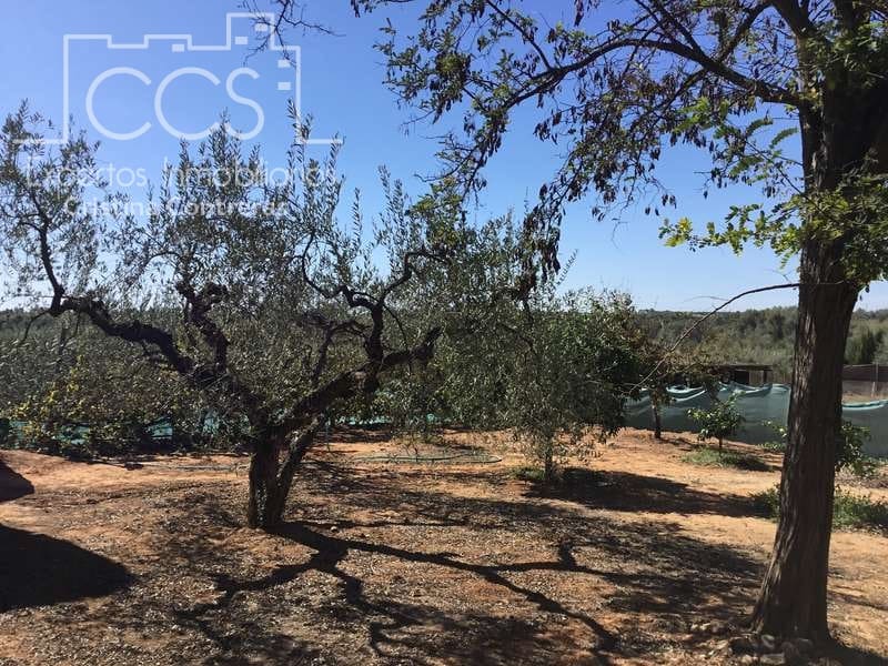 3 Zimmer Finca/Landgut zu verkaufen in Aznalcazar mit Pool Garage - 230.000 € (Ref: 5654718)