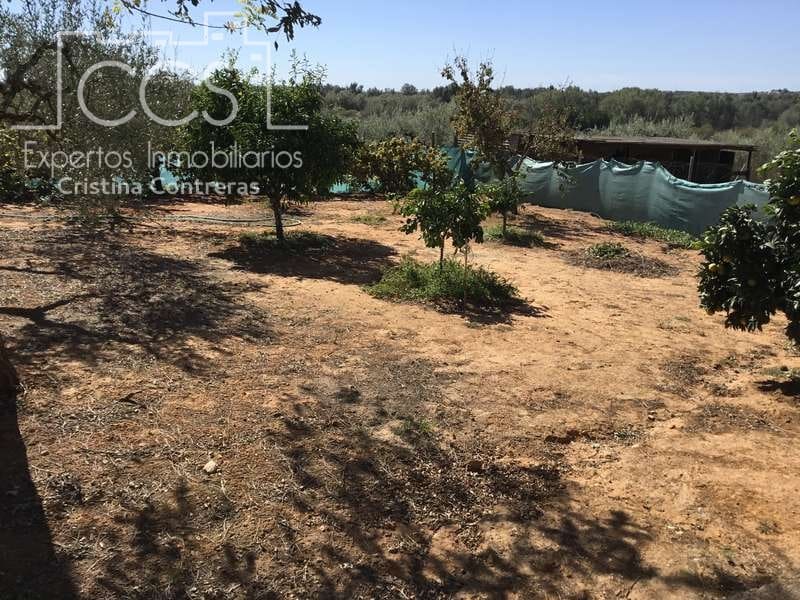 3 Zimmer Finca/Landgut zu verkaufen in Aznalcazar mit Pool Garage - 230.000 € (Ref: 5654718)