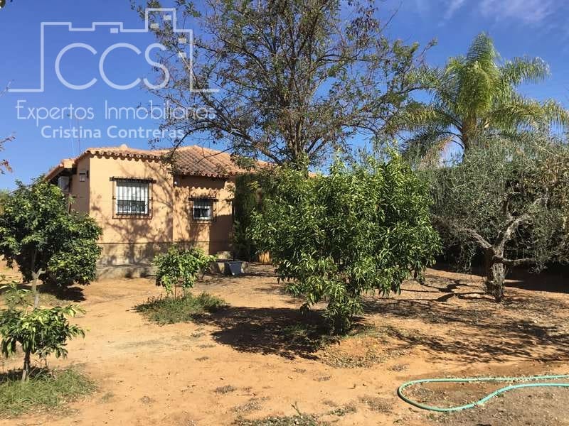 3 Zimmer Finca/Landgut zu verkaufen in Aznalcazar mit Pool Garage - 230.000 € (Ref: 5654718)