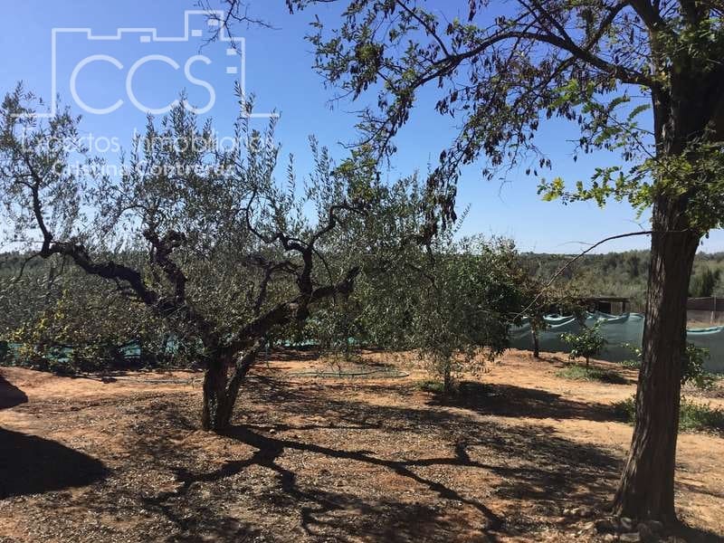 3 bedroom Finca/Country House for sale in Aznalcazar with pool garage - € 230,000 (Ref: 5654718)