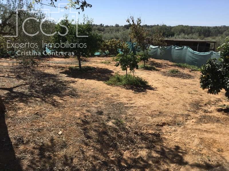3 bedroom Finca/Country House for sale in Aznalcazar with pool garage - € 230,000 (Ref: 5654718)