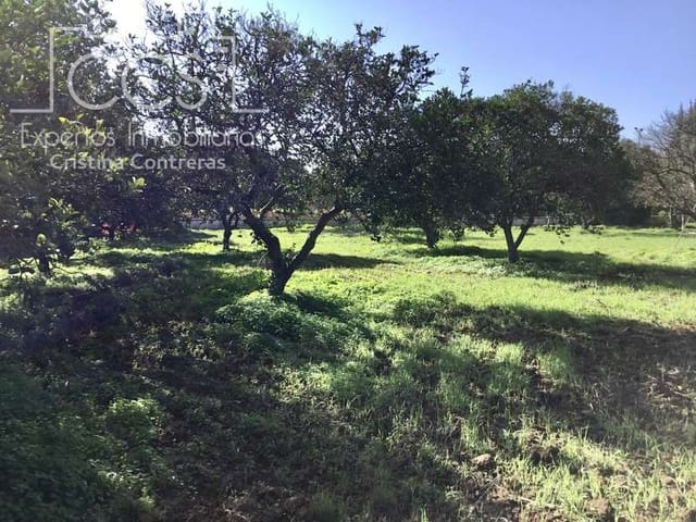 Bauplatz zu verkaufen in Espartinas - 96.000 € (Ref: 5937217)