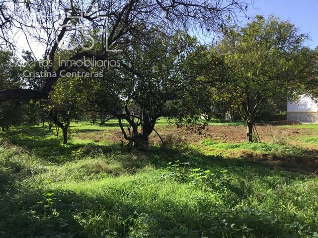 Bauplatz zu verkaufen in Espartinas - 96.000 € (Ref: 5937217)