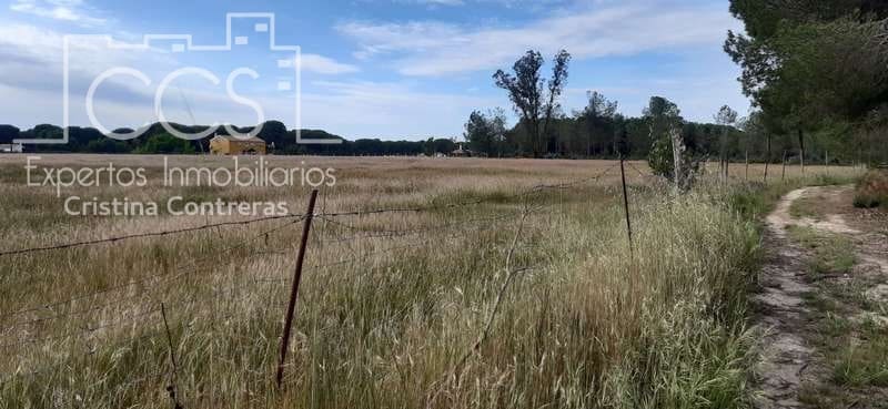 Byggetomt til salgs i Almonte - € 26 000 (Ref: 6024874)