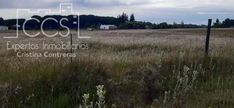 Byggetomt til salgs i Almonte - € 26 000 (Ref: 6024874)