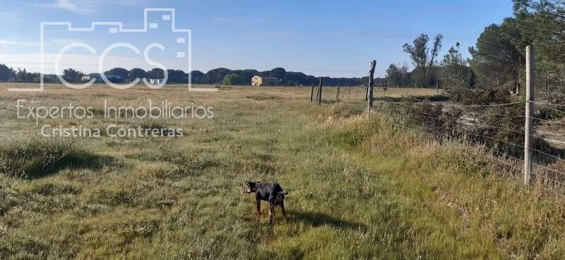 Byggetomt til salgs i Almonte - € 26 000 (Ref: 6024874)