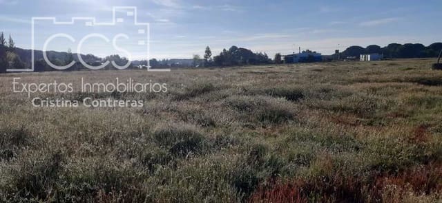 Building Plot for sale in Almonte - € 26,000 (Ref: 6024874)