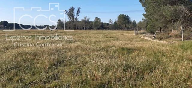 Building Plot for sale in Almonte - € 26,000 (Ref: 6024874)