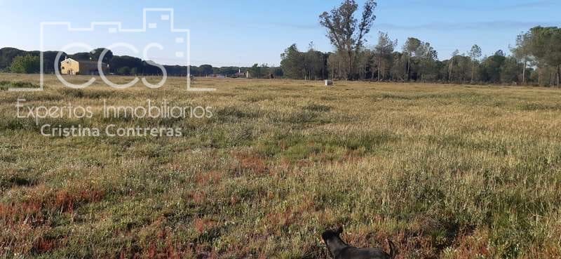 Byggetomt til salgs i Almonte - € 26 000 (Ref: 6024874)