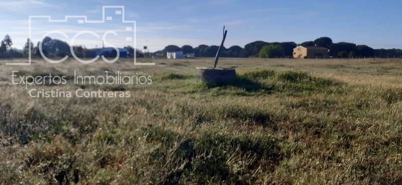 Byggetomt til salgs i Almonte - € 26 000 (Ref: 6024874)