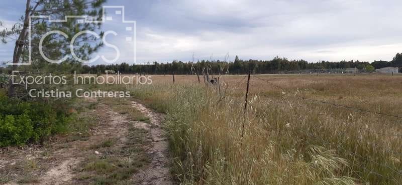 Byggetomt til salgs i Almonte - € 26 000 (Ref: 6024874)