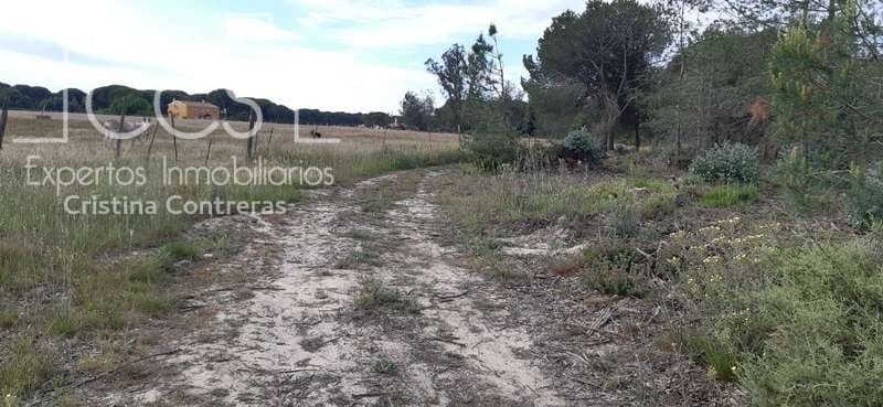 Byggetomt til salgs i Almonte - € 26 000 (Ref: 6024874)