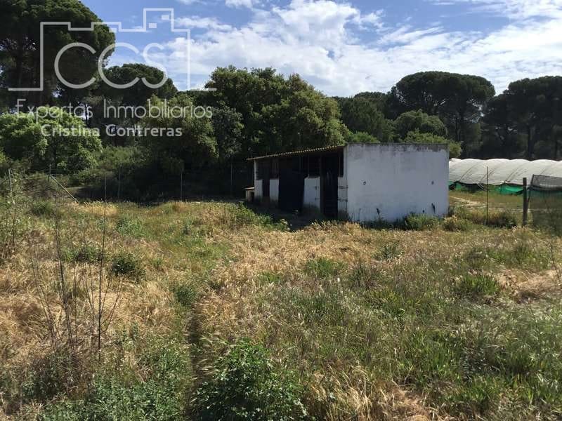 2 soveværelse Finca/Landehus til salg i Almonte - € 68.000 (Ref: 6032553)