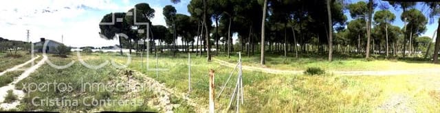 2 bedroom Finca/Country House for sale in Almonte - € 68,000 (Ref: 6032553)