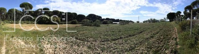 2 bedroom Finca/Country House for sale in Almonte - € 68,000 (Ref: 6032553)