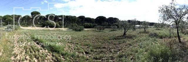 2 bedroom Finca/Country House for sale in Almonte - € 68,000 (Ref: 6032553)