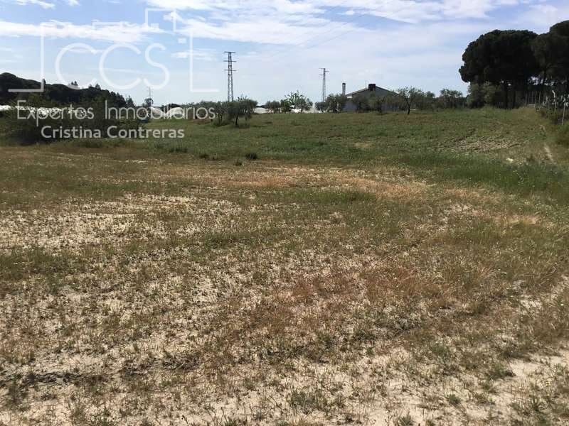 2 soveværelse Finca/Landehus til salg i Almonte - € 68.000 (Ref: 6032553)