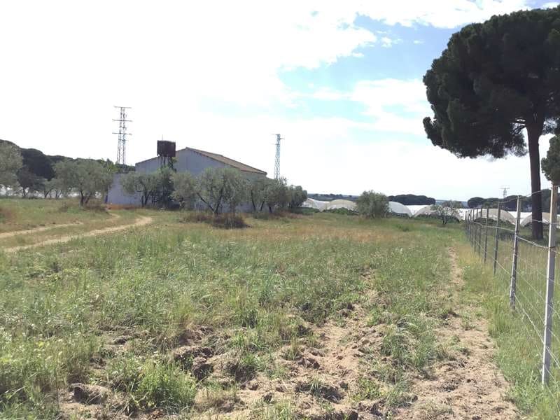 2 soveværelse Finca/Landehus til salg i Almonte - € 68.000 (Ref: 6032553)