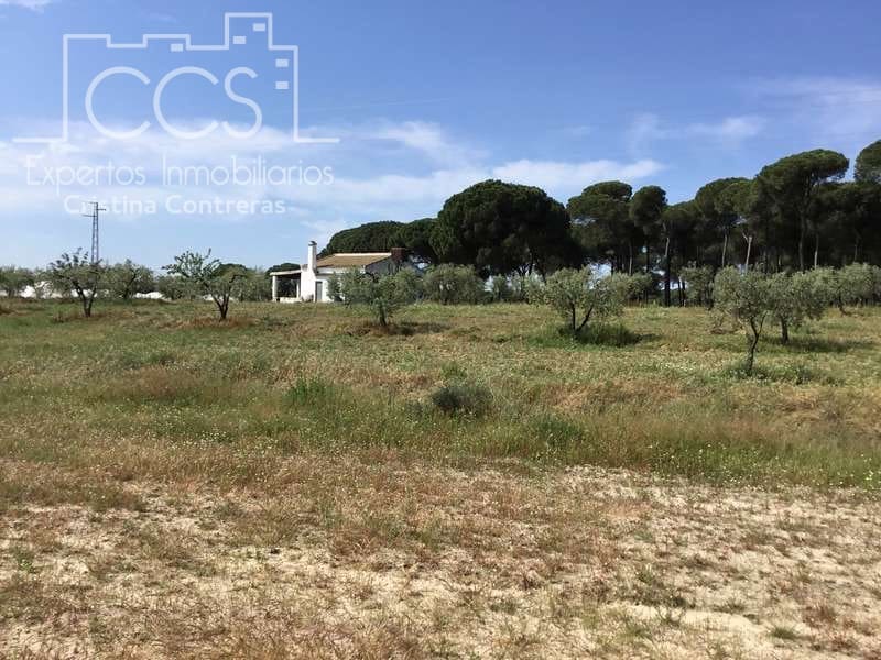 2 soveværelse Finca/Landehus til salg i Almonte - € 68.000 (Ref: 6032553)