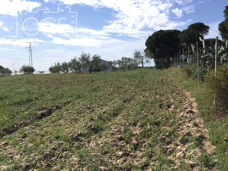 2 soveværelse Finca/Landehus til salg i Almonte - € 68.000 (Ref: 6032553)