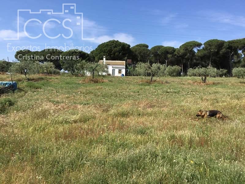 2 soveværelse Finca/Landehus til salg i Almonte - € 68.000 (Ref: 6032553)