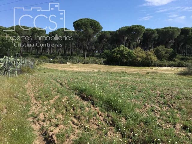 2 bedroom Finca/Country House for sale in Almonte - € 68,000 (Ref: 6032553)