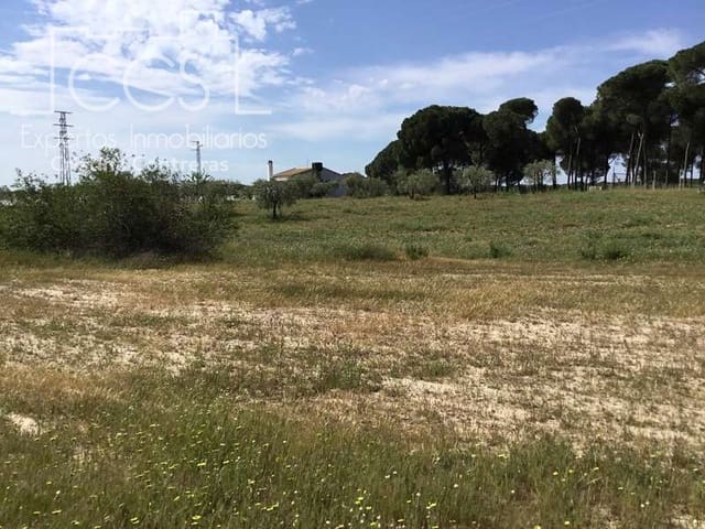 2 bedroom Finca/Country House for sale in Almonte - € 68,000 (Ref: 6032553)