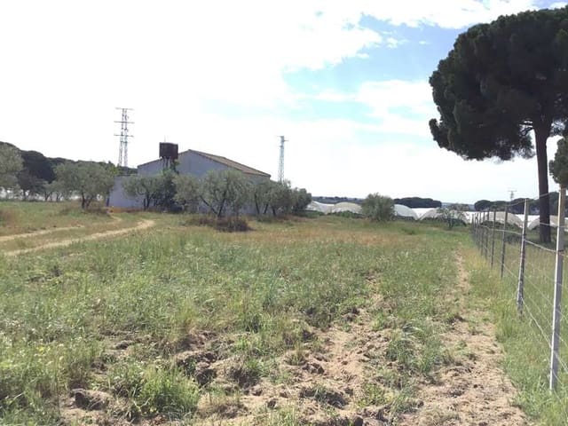 2 soverom Finca/Herregård til salgs i Almonte - € 68 000 (Ref: 6032553)
