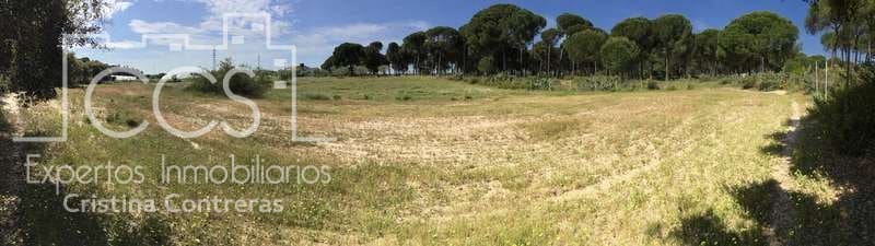 2 soverom Finca/Herregård til salgs i Almonte - € 68 000 (Ref: 6032553)