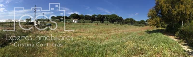 2 soverom Finca/Herregård til salgs i Almonte - € 68 000 (Ref: 6032553)