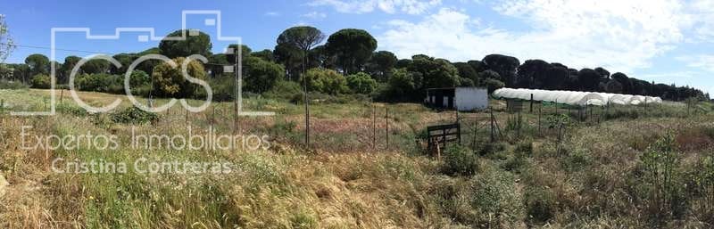 2 soverom Finca/Herregård til salgs i Almonte - € 68 000 (Ref: 6032553)