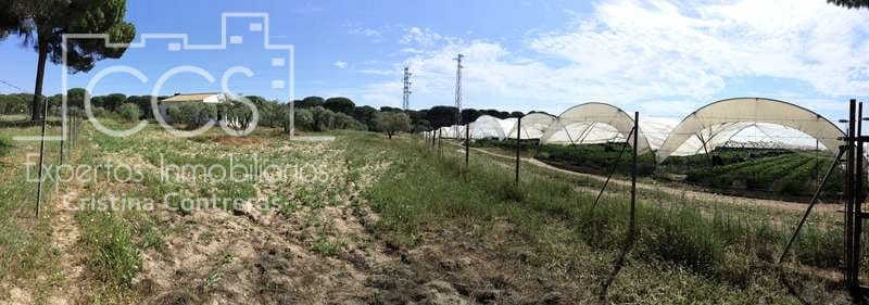 2 soverom Finca/Herregård til salgs i Almonte - € 68 000 (Ref: 6032553)