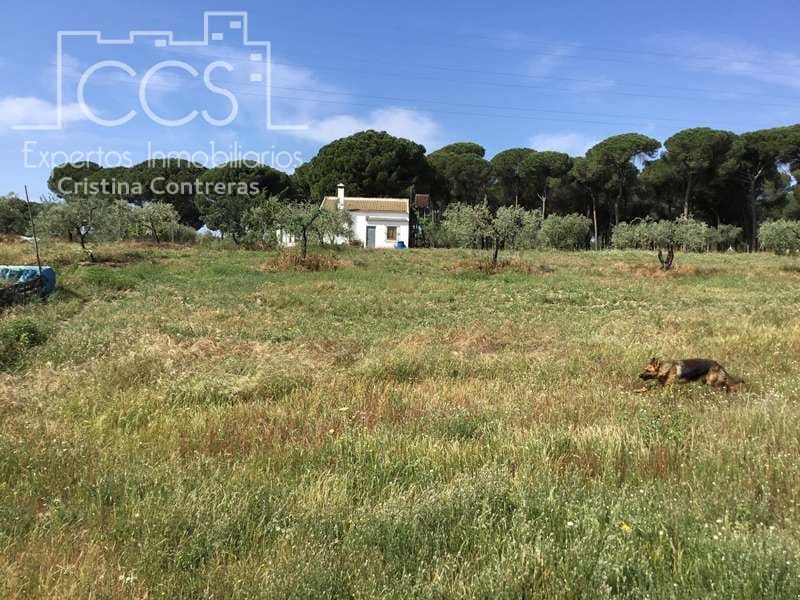 2 soverom Finca/Herregård til salgs i Almonte - € 68 000 (Ref: 6032553)