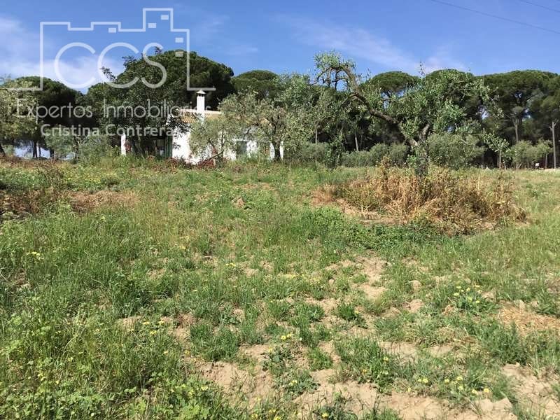 2 soverom Finca/Herregård til salgs i Almonte - € 68 000 (Ref: 6032553)