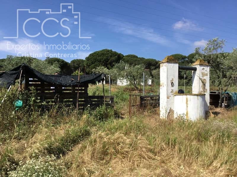 2 soverom Finca/Herregård til salgs i Almonte - € 68 000 (Ref: 6032553)