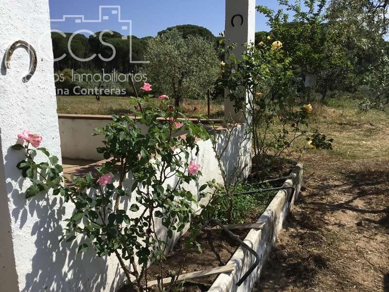 2 soverom Finca/Herregård til salgs i Almonte - € 68 000 (Ref: 6032553)