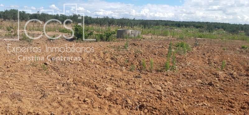 Byggetomt til salgs i Almonte - € 19 500 (Ref: 6211742)