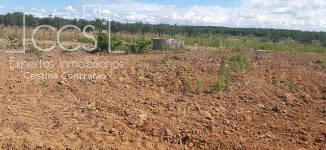 Building Plot for sale in Almonte - € 19,500 (Ref: 6211742)