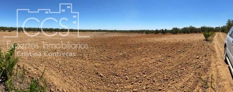 Byggetomt til salgs i Almonte - € 19 500 (Ref: 6211742)