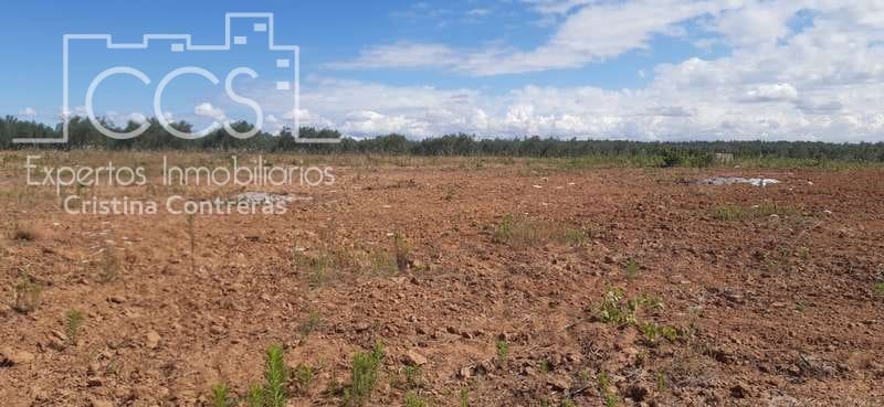 Byggetomt til salgs i Almonte - € 19 500 (Ref: 6211742)