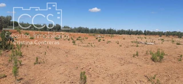 Building Plot for sale in Almonte - € 19,500 (Ref: 6211742)
