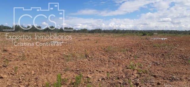 Building Plot for sale in Almonte - € 19,500 (Ref: 6211742)