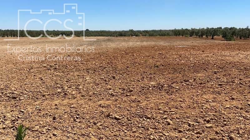 Byggetomt til salgs i Almonte - € 19 500 (Ref: 6211742)