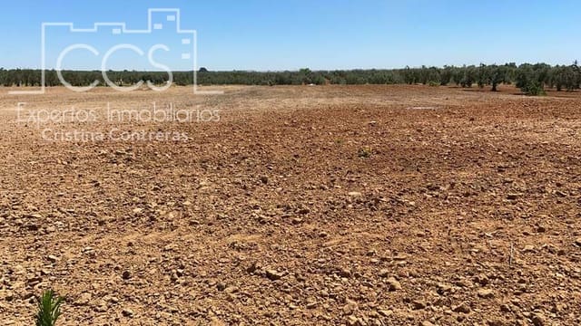 Building Plot for sale in Almonte - € 19,500 (Ref: 6211742)