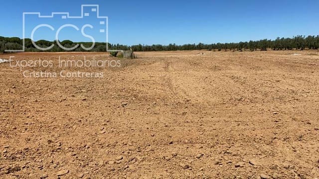 Building Plot for sale in Almonte - € 19,500 (Ref: 6211742)