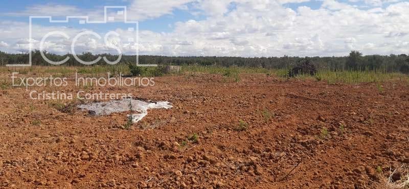 Byggetomt til salgs i Almonte - € 19 500 (Ref: 6211742)