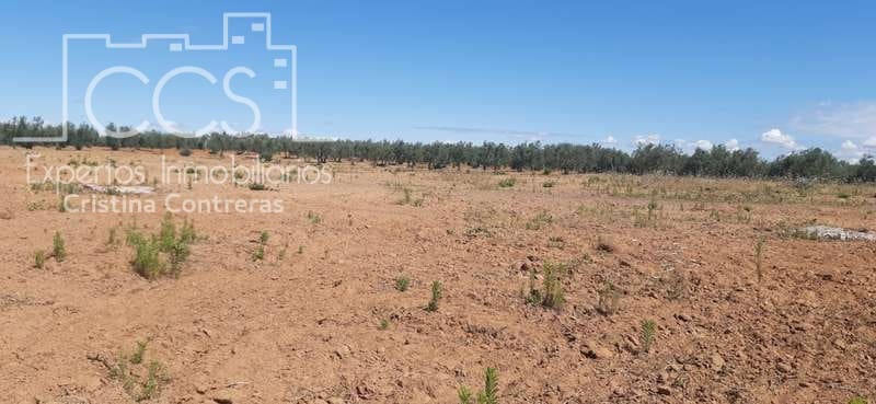 Byggetomt til salgs i Almonte - € 19 500 (Ref: 6211742)