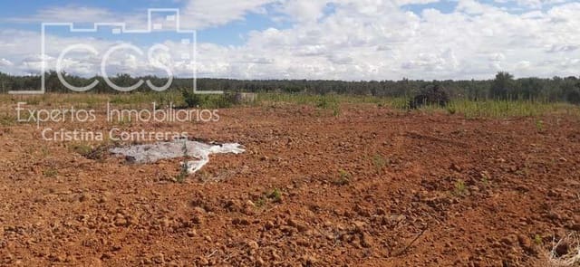 Building Plot for sale in Almonte - € 19,500 (Ref: 6211742)