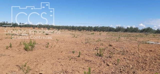 Building Plot for sale in Almonte - € 19,500 (Ref: 6211742)